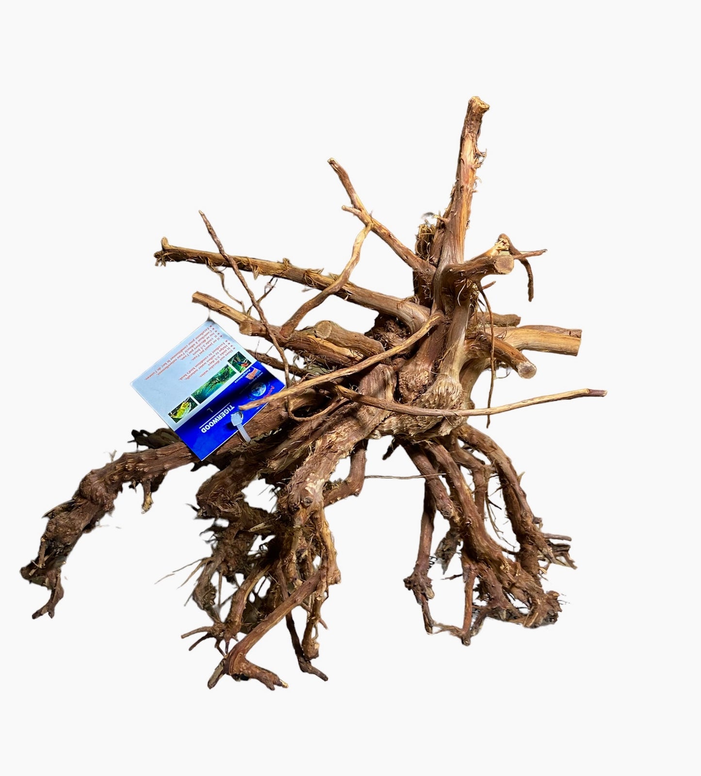 Aquaglobe Large tiger wood 14-16”