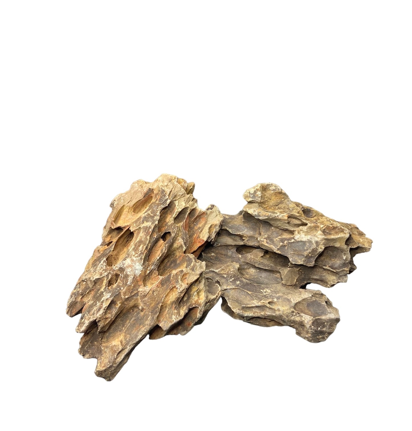 Japanese Ohko rock (dragon rock) per lb