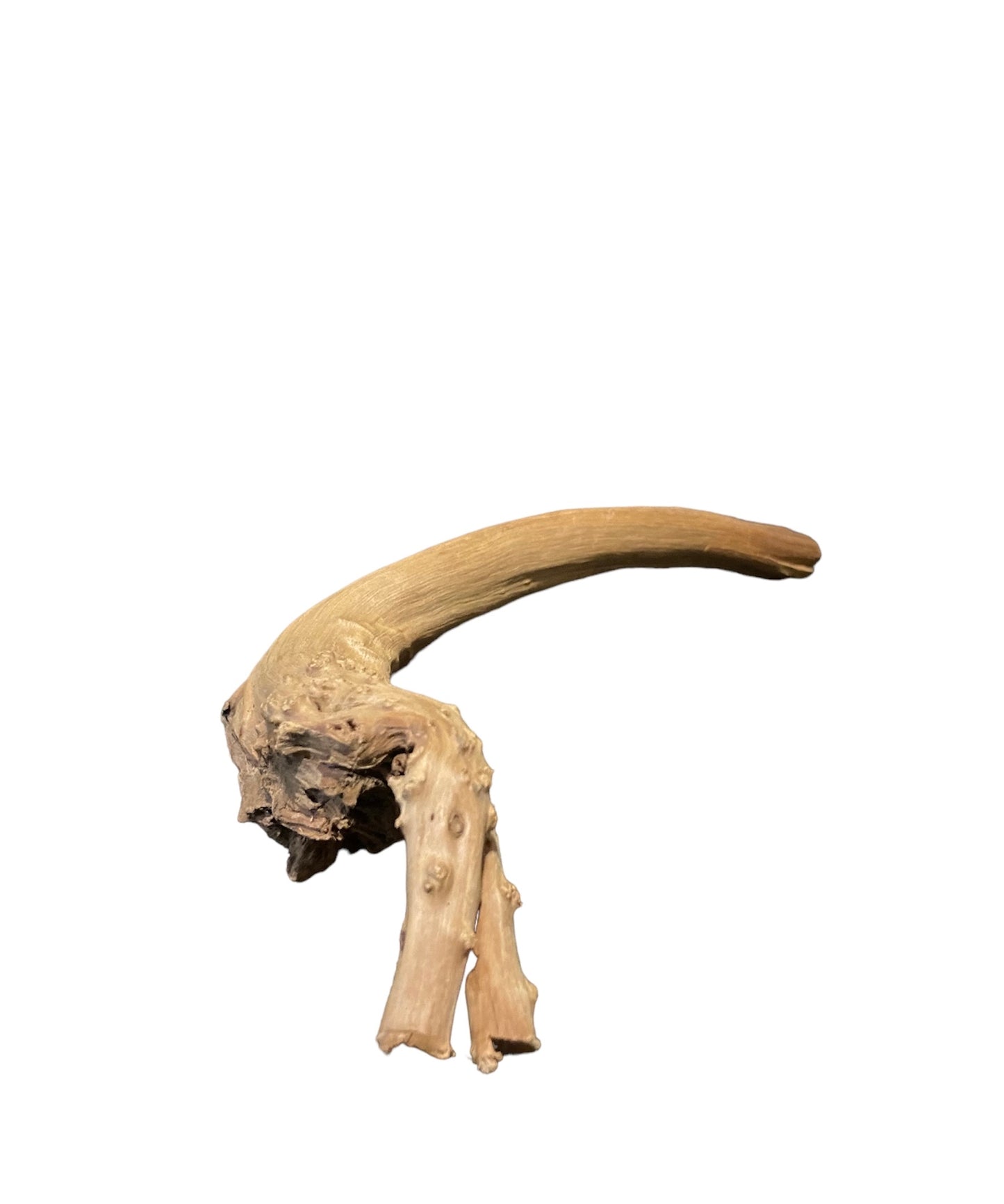 Driftwood 4-6”
