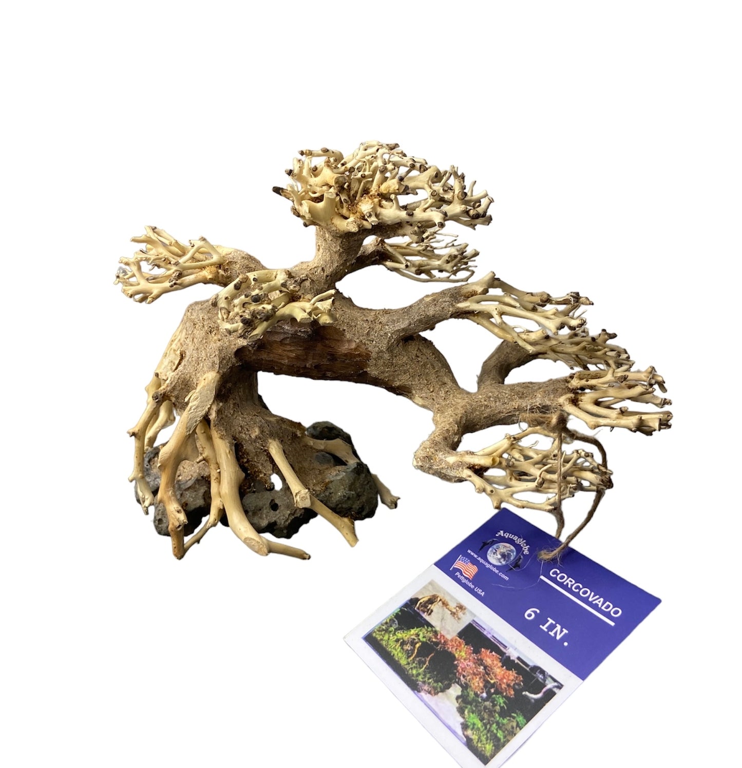 Aquaglobe Corcovado wood