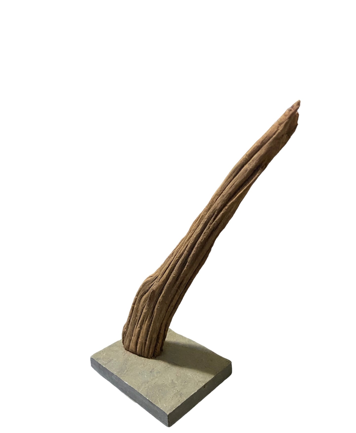 Driftwood on slate 6”