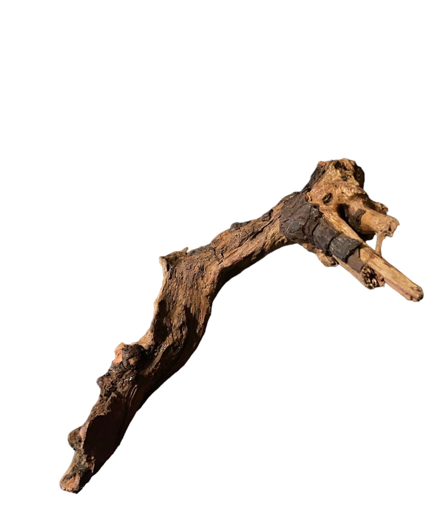 Driftwood 4-6”