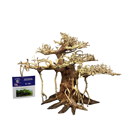 Aquaglobe 12” Octopus bonsai tree