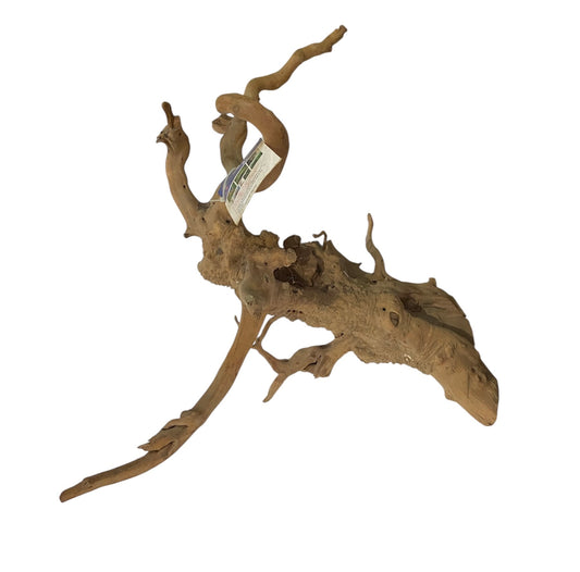 Aquaglobe extra large spider wood