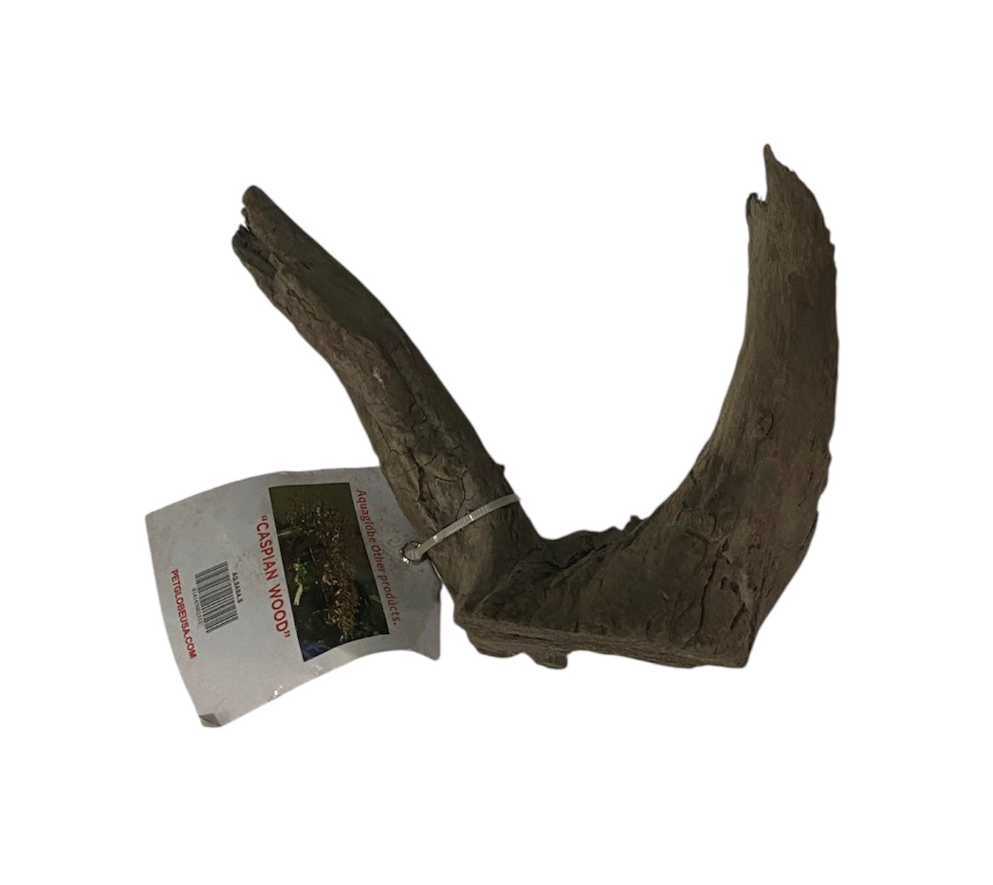 Aquaglobe Small sabawood 6-9”